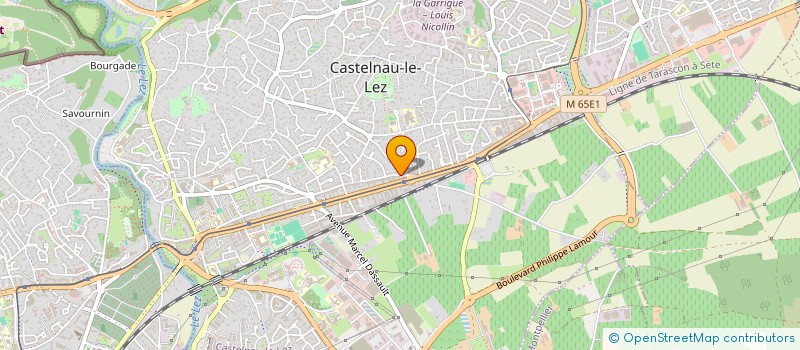 localisation de l'entreprise MADAME SEYEDEH FATEMEH MOUSAVI à CASTELNAU-LE-LEZ