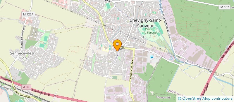 localisation de l'entreprise MADAME SFIA NAJMI à CHEVIGNY-SAINT-SAUVEUR