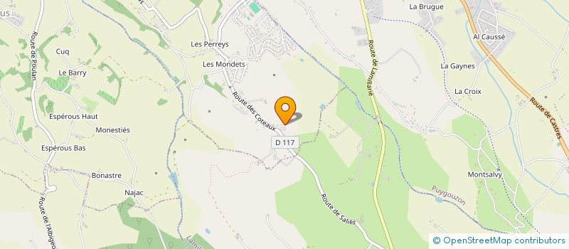 localisation de l'entreprise MADAME SHADE GRAT  SALIES