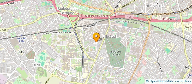 localisation de l'entreprise MADAME SHANA NGUON à LILLE