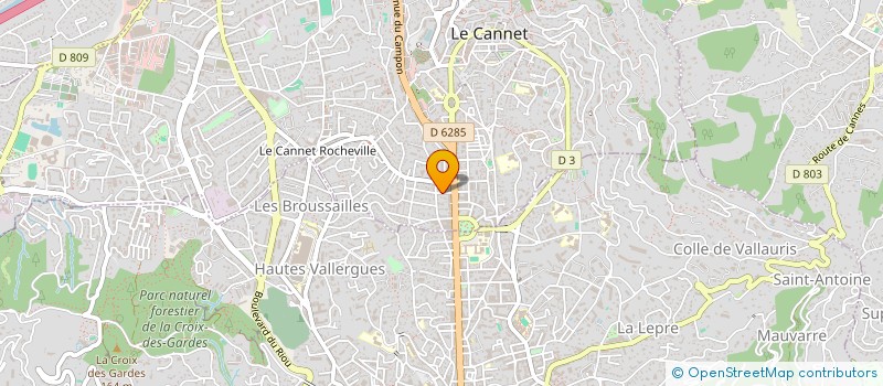 localisation de l'entreprise MADAME SHANNON HONNIBALL à LE CANNET