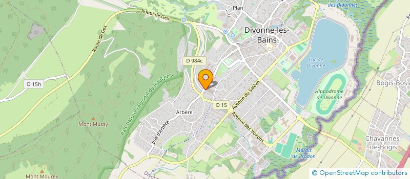 localisation de l'entreprise MADAME SHAYNES BOUSLIM  DIVONNE-LES-BAINS