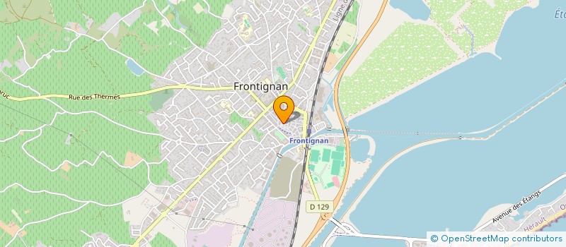 localisation de l'entreprise MADAME SHAZIA MOHSENI  FRONTIGNAN