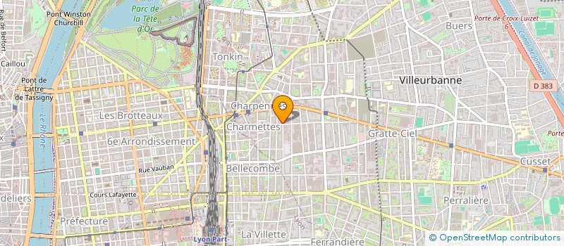 localisation de l'entreprise MADAME SHIREL ALLOUCHE  VILLEURBANNE