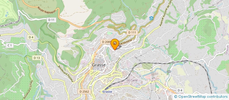 localisation de l'entreprise MADAME SHIRLEY OLIVERI GUILLEM  GRASSE