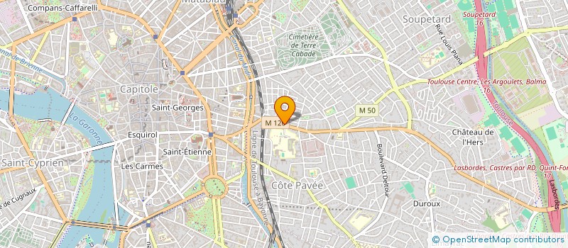 localisation de l'entreprise MADAME SHYRINE ARFAOUI  TOULOUSE
