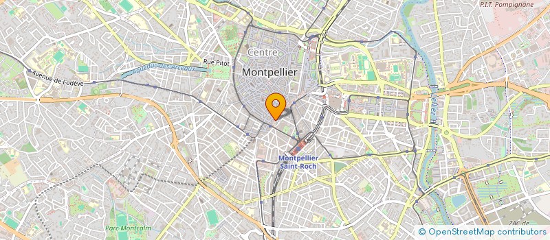 localisation de l'entreprise MADAME SIDALIA BIYOGOU MOMBO à MONTPELLIER