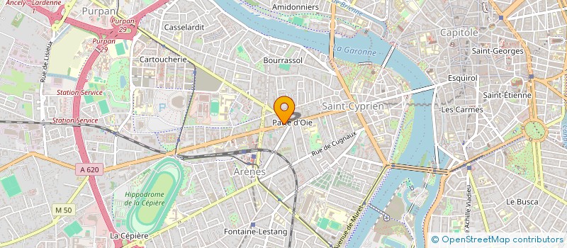 localisation de l'entreprise MADAME SIGOLENE ANDRES  TOULOUSE