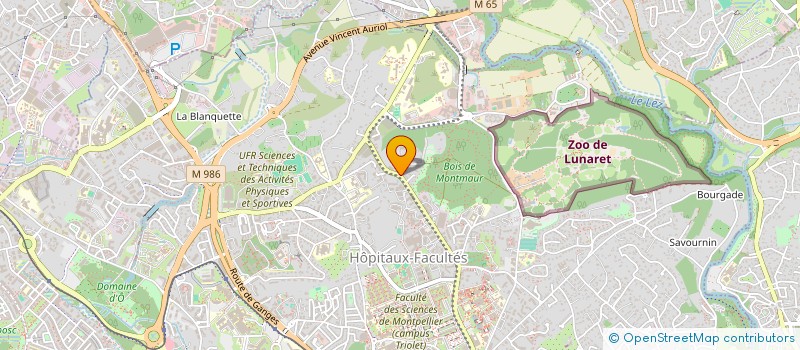 localisation de l'entreprise MADAME SIHAM EL HANNAOUI à MONTPELLIER