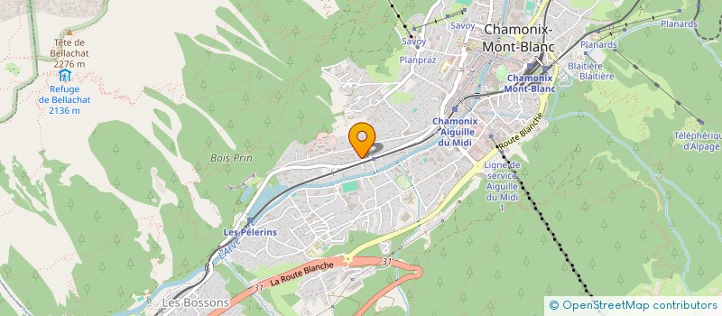 localisation de l'entreprise MADAME SILENE PERROT  CHAMONIX-MONT-BLANC