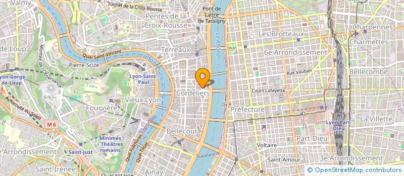 localisation de l'entreprise MADAME SILVA MINASSIAN  LYON