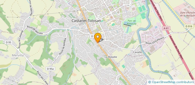 localisation de l'entreprise MADAME SILVIA COBO VAZQUEZ à CASTANET-TOLOSAN