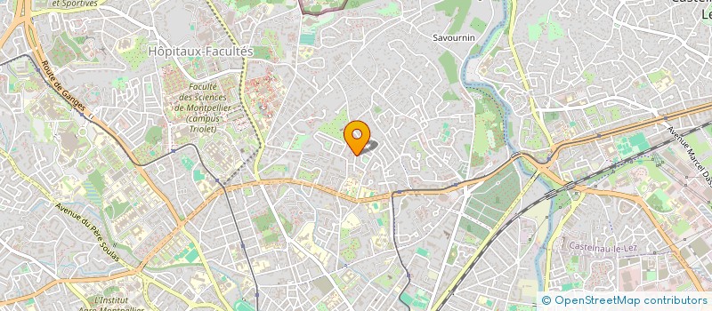localisation de l'entreprise MADAME SILVIA CONDARCURI à MONTPELLIER