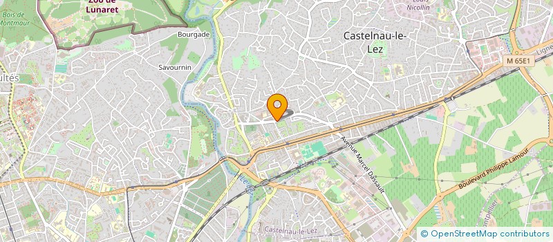 localisation de l'entreprise MADAME SILVIA FERREIRA à CASTELNAU-LE-LEZ