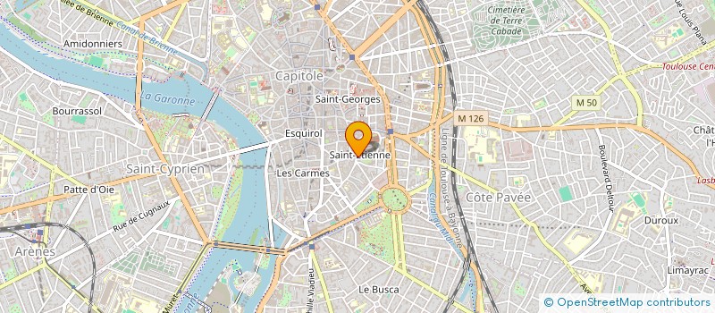 localisation de l'entreprise MADAME SILVIA FERRO  TOULOUSE
