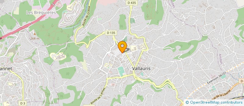 localisation de l'entreprise MADAME SILVIA HOFBECK à VALLAURIS