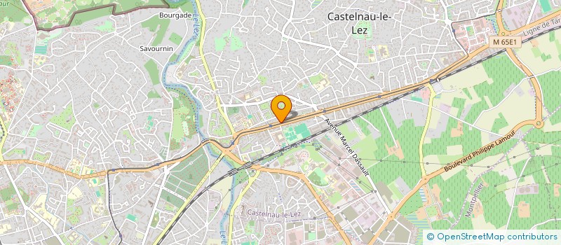 localisation de l'entreprise MADAME SILVIA PITASI à CASTELNAU-LE-LEZ