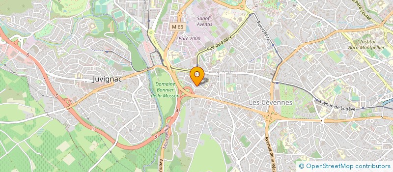 localisation de l'entreprise MADAME SILVIA SZAJKOOVA à MONTPELLIER