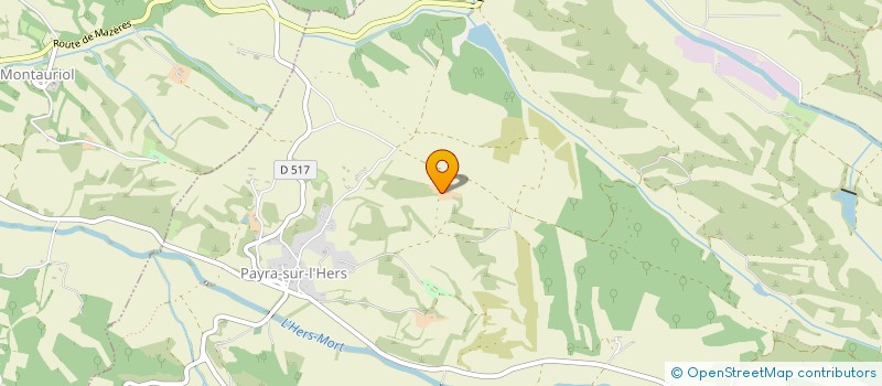 localisation de l'entreprise MADAME SILVIA VALLATI  PAYRA-SUR-L'HERS