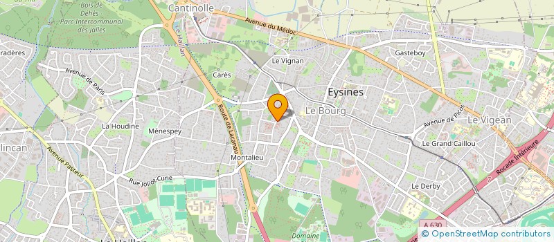 localisation de l'entreprise MADAME SILVIYA ANTONOVA  EYSINES