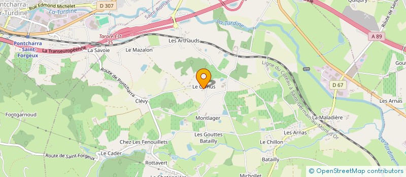 localisation de l'entreprise MADAME SIMON BERTHIER à SAINT-ROMAIN-DE-POPEY