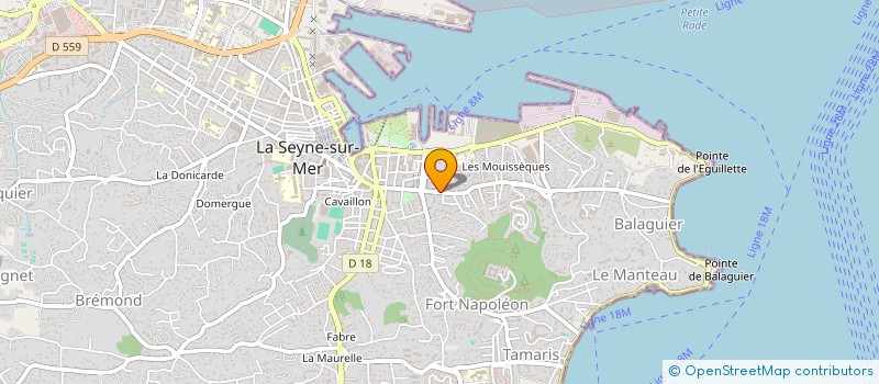 localisation de l'entreprise MADAME SIMONA CLECIU  LA SEYNE-SUR-MER