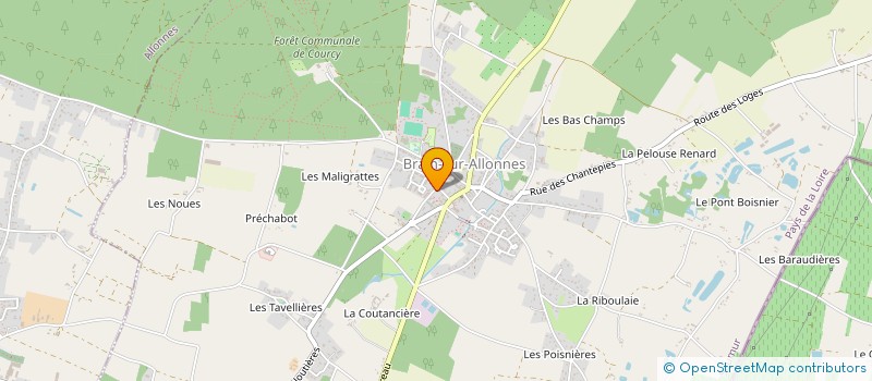 localisation de l'entreprise MADAME SIMONA-DIANA MIHAESCU  BRAIN-SUR-ALLONNES