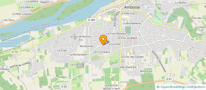 localisation de l'entreprise MADAME SIMONA RUSCONI à AMBOISE