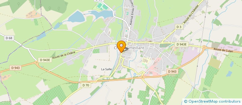 localisation de l'entreprise MADAME SIMONE CARDINAUD  CHATEAUMEILLANT