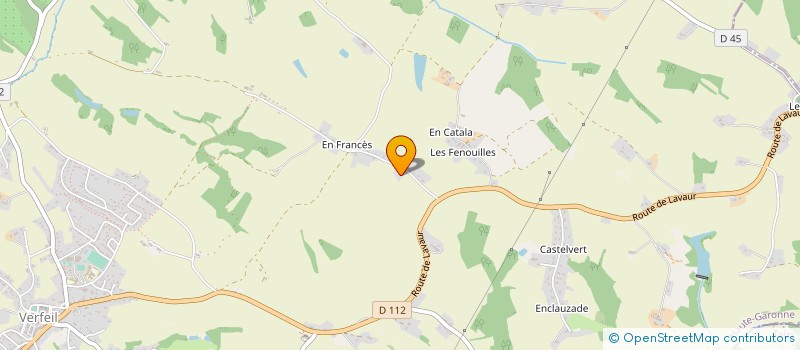 localisation de l'entreprise MADAME SIMONE DELMAS  VERFEIL