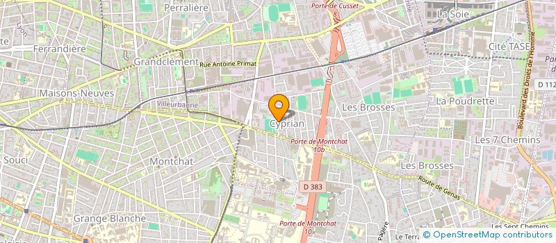 localisation de l'entreprise MADAME SIMONE GELAS-DORE  VILLEURBANNE