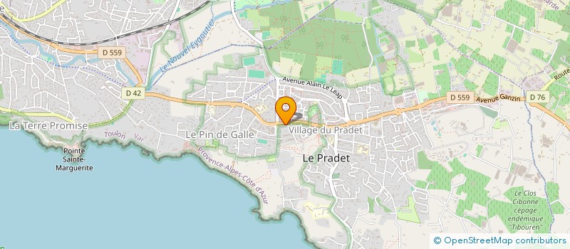 localisation de l'entreprise MADAME SIMONE GERARD  LE PRADET