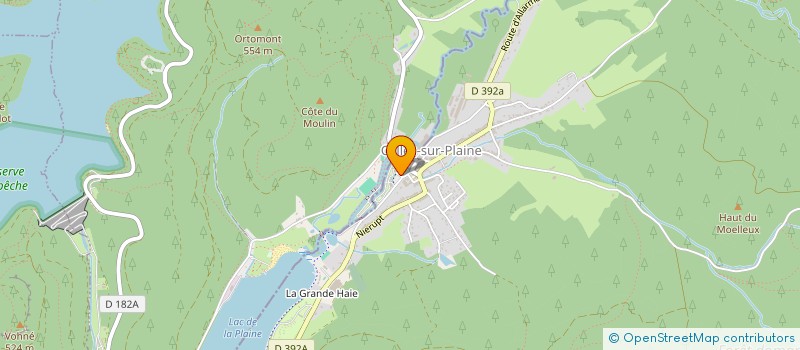 localisation de l'entreprise MADAME SIMONE HAOUI  CELLES-SUR-PLAINE