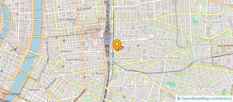 localisation de l'entreprise MADAME SIMONE PALLEAU  LYON