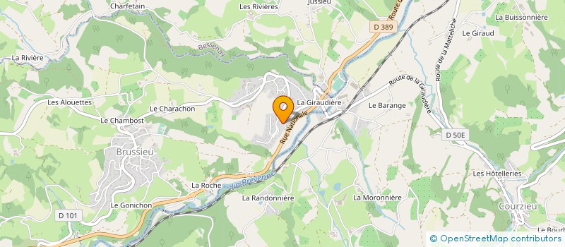 localisation de l'entreprise MADAME SIMONE ROCHETTE à BRUSSIEU