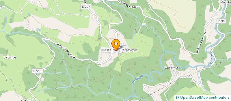 localisation de l'entreprise MADAME SIMONETTE COJONDEVELOU  CASTELNAU-PEGAYROLS