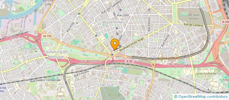 localisation de l'entreprise MADAME SINDEL HOUADI à LILLE