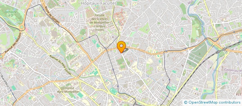 localisation de l'entreprise MADAME SINDY TENORIO MOSCOSO à MONTPELLIER