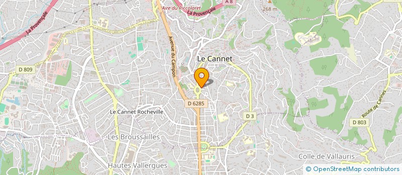 localisation de l'entreprise MADAME SINEAD CHAIEB à LE CANNET
