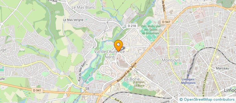 localisation de l'entreprise MADAME SINSSY LANNAUD  LE PALAIS-SUR-VIENNE