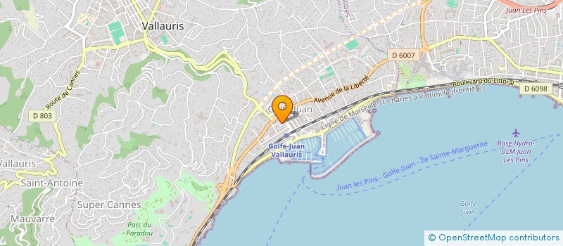 localisation de l'entreprise MADAME SNEZANA PAVLOVIC  VALLAURIS