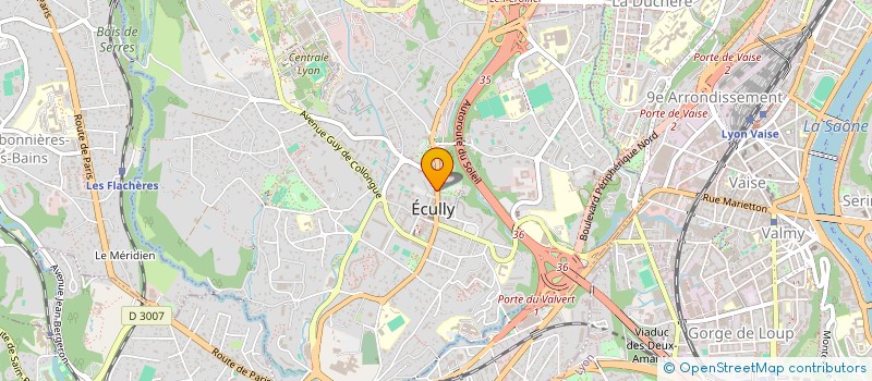 localisation de l'entreprise MADAME SOFIA PEDRO SEBASTIAO  ECULLY