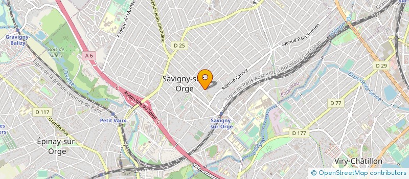 localisation de l'entreprise MADAME SOFIIA CHUIKOVSKA à SAVIGNY-SUR-ORGE