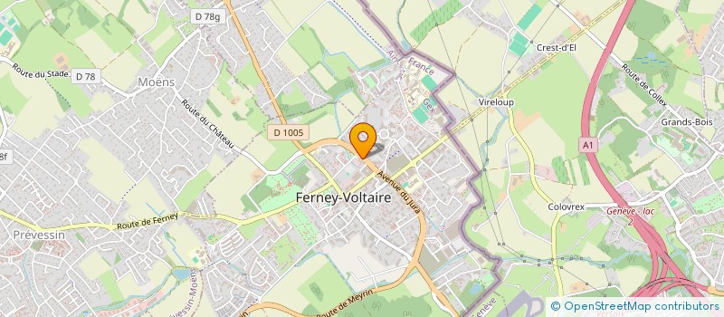 localisation de l'entreprise MADAME SOHA OMAR AZMY à FERNEY-VOLTAIRE