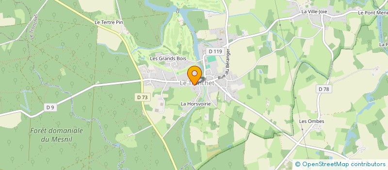 localisation de l'entreprise MADAME SOIZIC DEMOLINS  LE TRONCHET