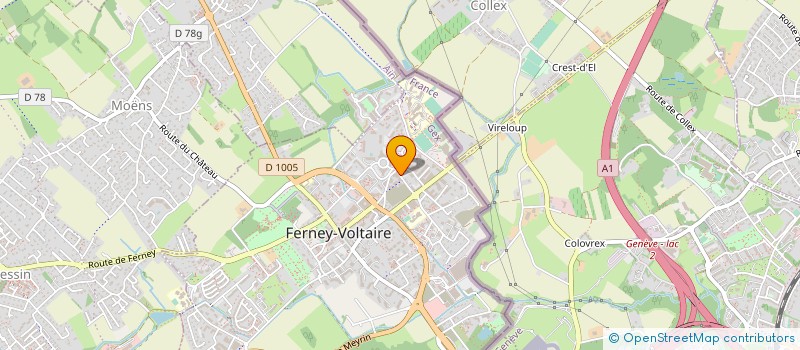 localisation de l'entreprise MADAME SOKHNA DIOUF à FERNEY-VOLTAIRE