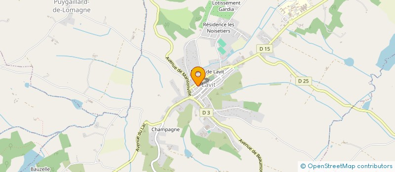 localisation de l'entreprise MADAME SOLANGE DENEUVILLE à LAVIT