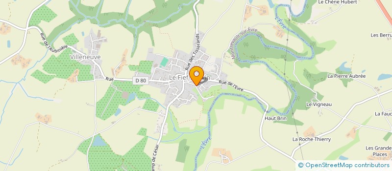 localisation de l'entreprise MADAME SOLANGE FROGER  BEAUPREAU-EN-MAUGES