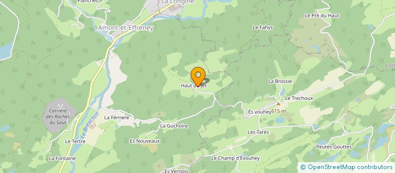 localisation de l'entreprise MADAME SOLANGE GALMICHE à AMONT-ET-EFFRENEY