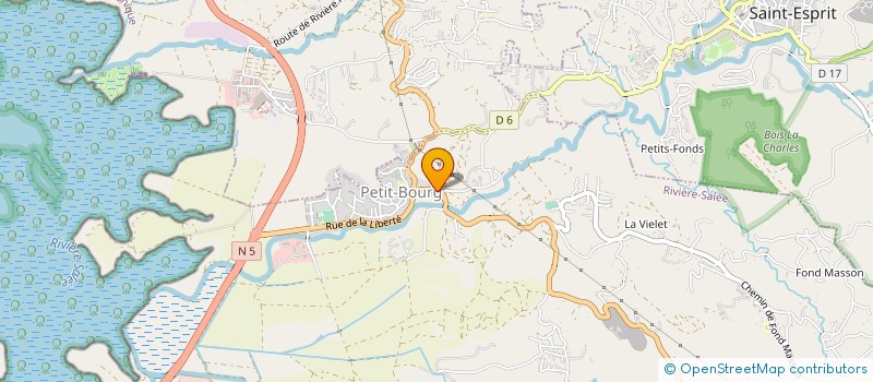 localisation de l'entreprise MADAME SOLANGE JOURDREN  RIVIERE-SALEE